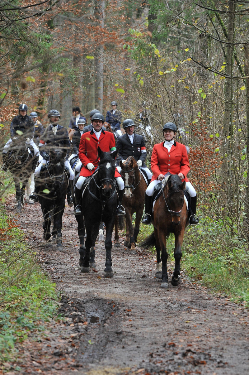 Fuchsjagd (c) Grießenböck