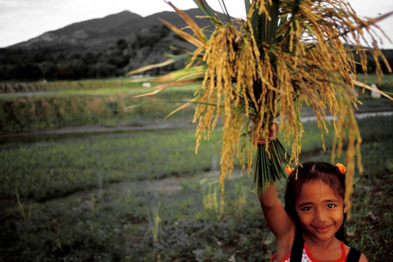 Faire Wochen 2012 Faire Wochen 2012