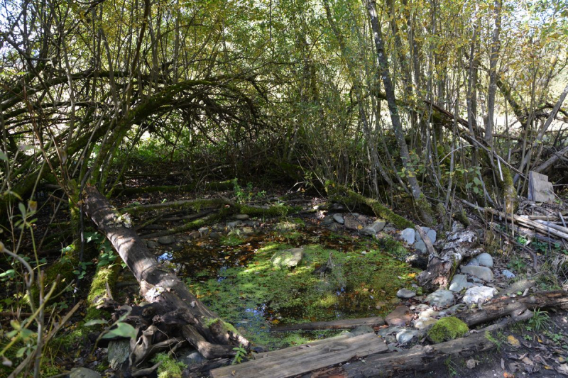 Foto: Veronika Spielbichler