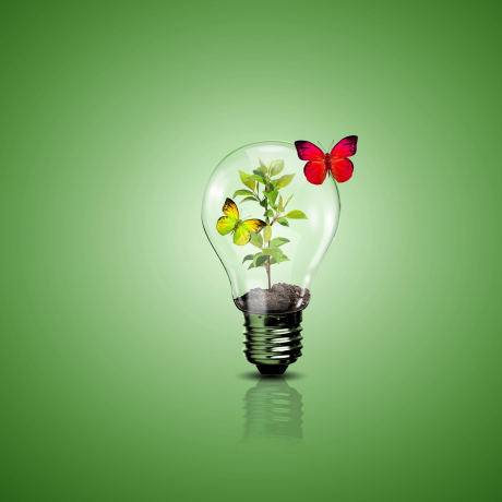 5. UMWELTPREIS EUREGIO TIROL-SÜDTIROL-TRENTINO 2013