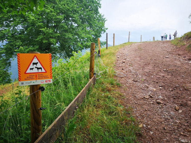 Almsaison hat begonnen