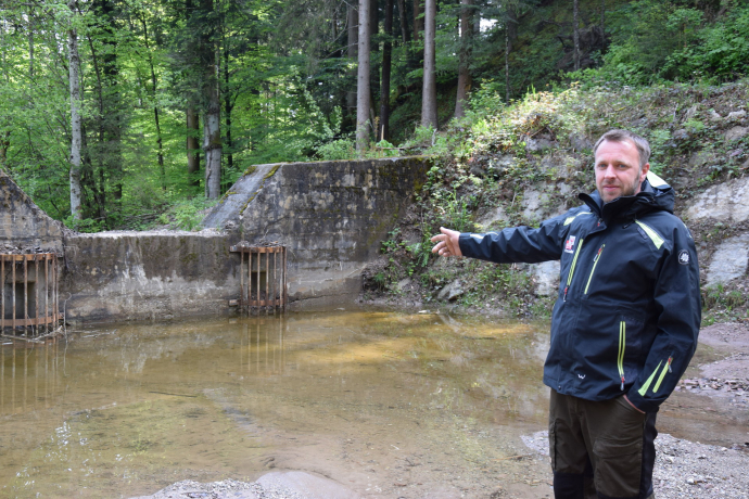 Der Wald ist der schönste Arbeitsplatz