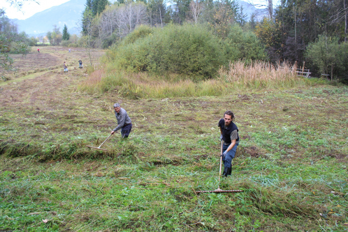 Die Filz ruft – Freiwillige am 14. 10. 17 gesucht