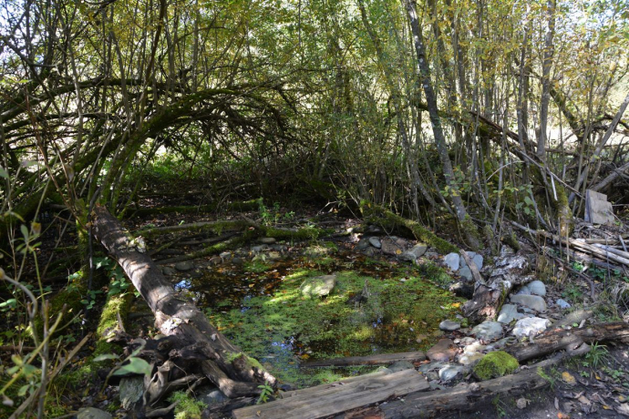 Exkursion in die Wörgler Filz