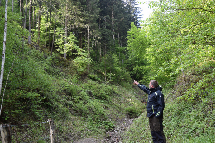 Feuer im Alm- und Waldbereich sowie Meldepflichten