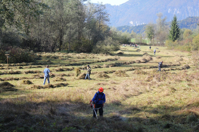 Für die Heuernte in der Filz werden wieder Freiwillige gesucht