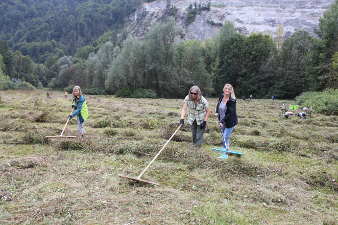 Alles auf Reihe bringen ist am 8.Oktober 2016 in der Wörgler Filz wieder angesagt