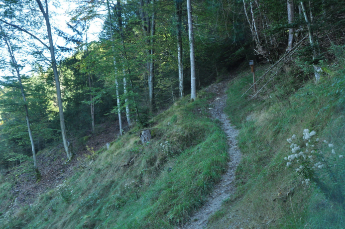 Kreuzweg Zauberwinkel keine Downhill-Racer-Strecke