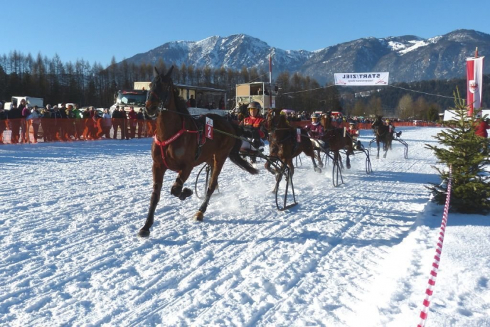 Neuer Termin für Wörgler Trabrennen !