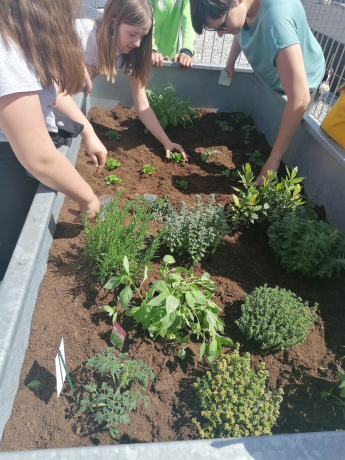 Projekt „Essbare Stadt“ begeisterte Jugendliche