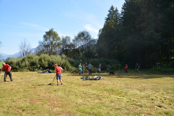 Sanfter Maschinen-Einsatz in der Filz
