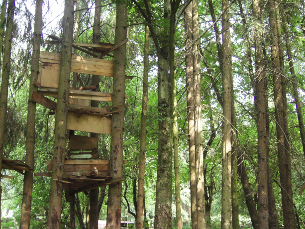 Lechnerareal Lechnerareal