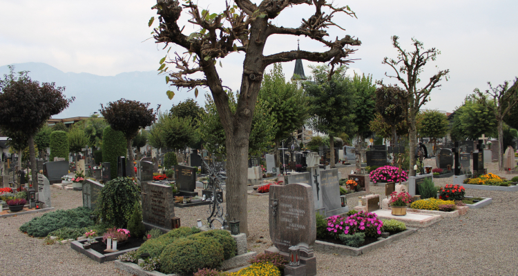100 Jahre Waldfriedhof 100 Jahre Waldfriedhof