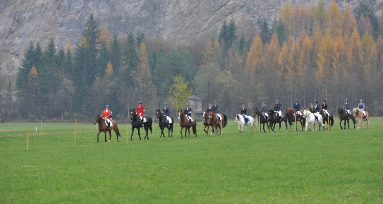 Foto_Grießenböck_036