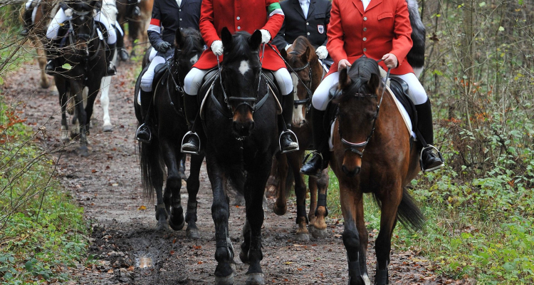 Foto_Grießenböck_052