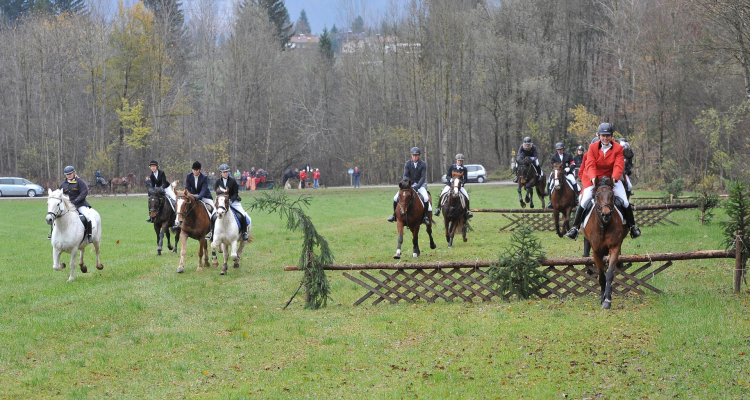 Foto_Grießenböck_060