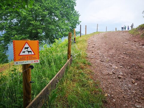 Almsaison hat begonnen