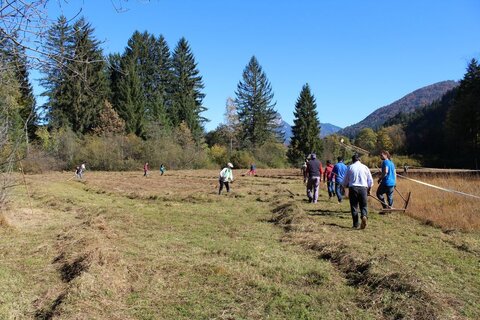 Ehrenamtliche Mithilfe ist auch heuer wieder in der Filz gefragt.