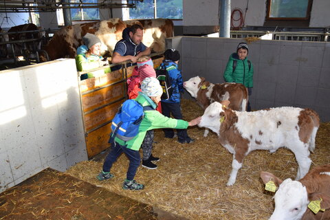 Bäuerinnen warben für heimische Lebensmittel