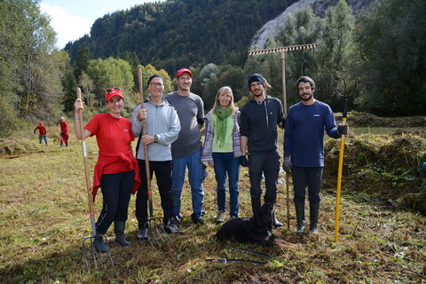 Biotop-Pflege sichert Artenvielfalt