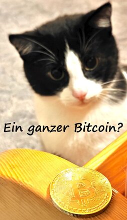 CryptoCircle: Die häufigsten Krypto-Irrtümer