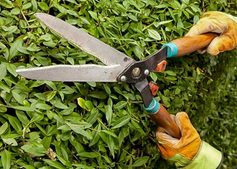 Das Stadtamt informiert