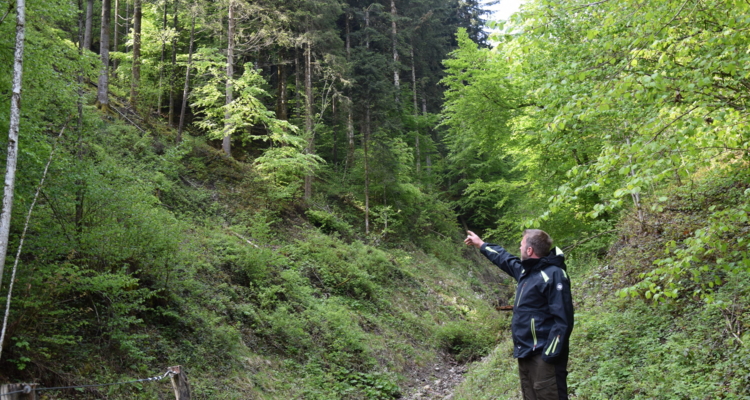 Feuer im Alm- und Waldbereich sowie Meldepflichten Feuer im Alm- und Waldbereich sowie Meldepflichten