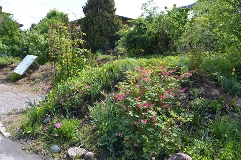 Freigarten Wörgl: Kein Selbstbedienungsladen