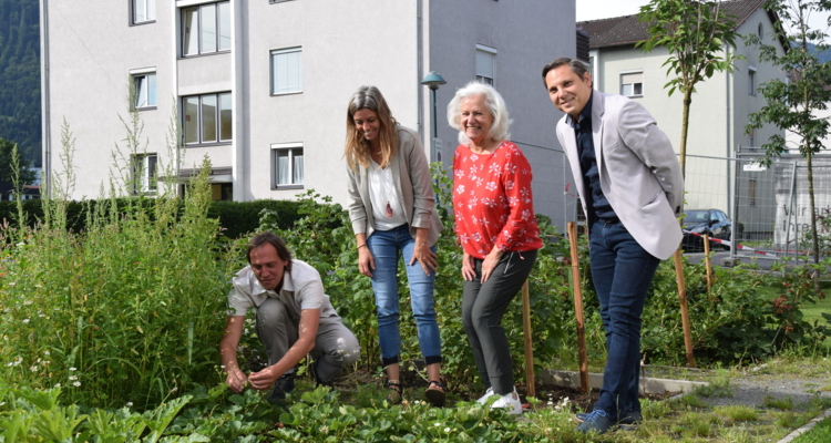 "Frische Nahrung für Junges Gemüse" "Frische Nahrung für Junges Gemüse"