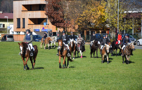 Fuchs narrte bei traumhaftem Wetter Reitgesellschaft