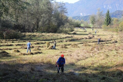 Für die Heuernte in der Filz werden wieder Freiwillige gesucht