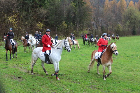 Imposantes Schauspiel: Wetterfeste Fuchsjagd-Reiter 