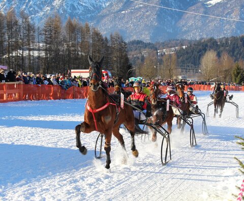 Kaiserwetter beim Wörgler Pferderennen 