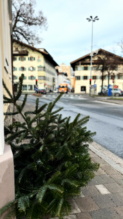 Kostenlose Christbaumentsorgung in Wörgl