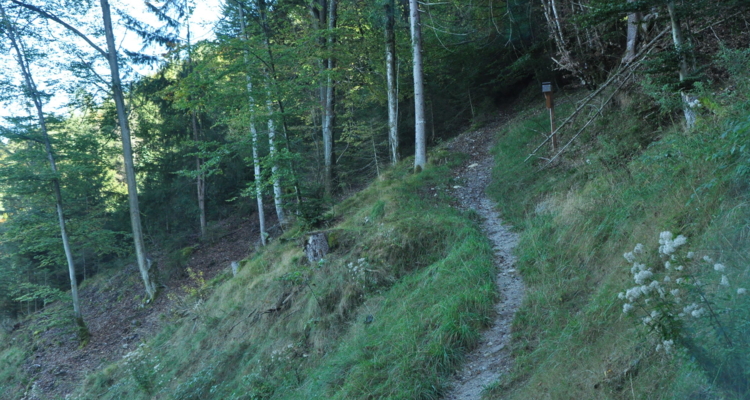 Kreuzweg Zauberwinkel keine Downhill-Racer-Strecke Kreuzweg Zauberwinkel keine Downhill-Racer-Strecke