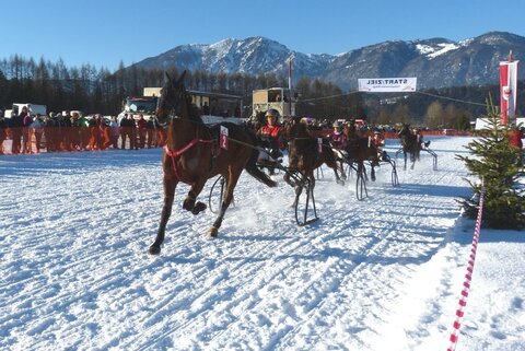 Neuer Termin für Wörgler Trabrennen !