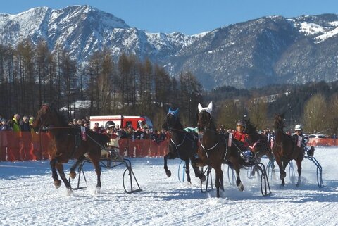Pferderennen am 28. 1. 18  - Abgesagt!
