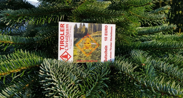 Regionale Christbäume als ideales Geschenk Regionale Christbäume als ideales Geschenk