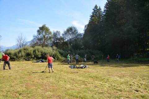 Sanfter Maschinen-Einsatz in der Filz