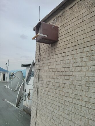 Turmfalken-Projekt des Umweltausschusses der Stadtgemeinde Wörgl