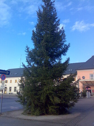 Der schöne Wörgler Christbaum 2008 bei Tag