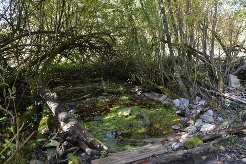 Foto: Veronika Spielbichler